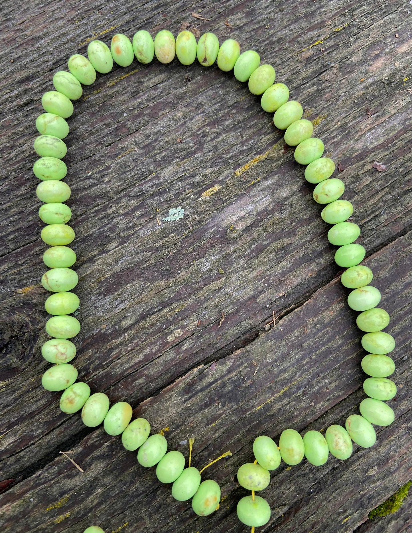 Lime Green Rondelle Magnesite Stone Beads 12mm