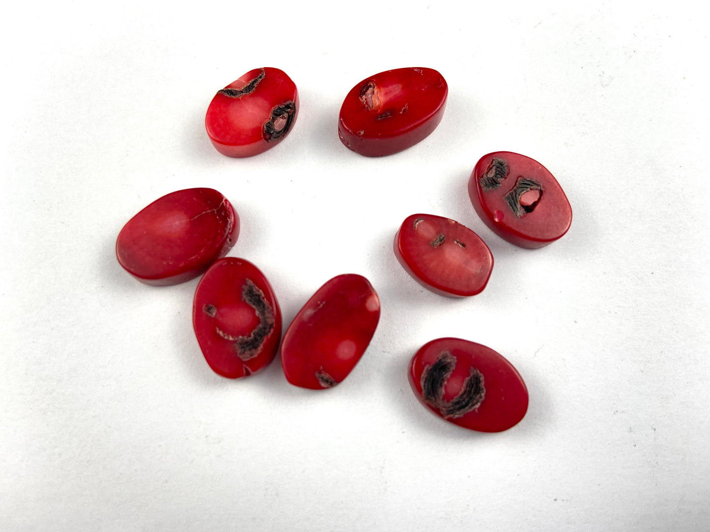 Red Coral Oval Beads
