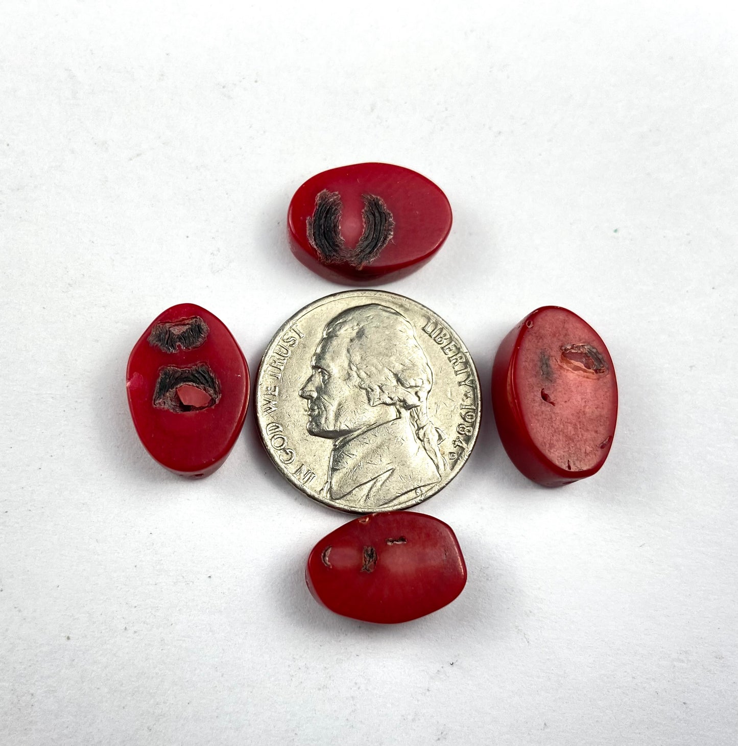 Red Coral Oval Beads