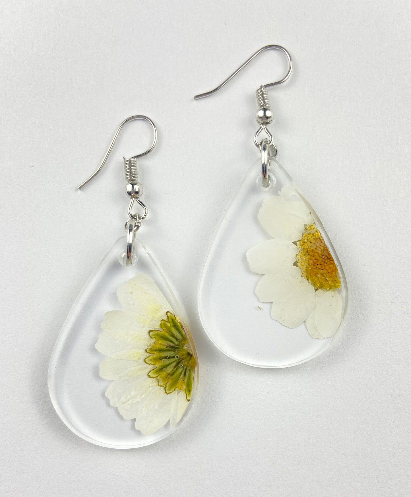 White Flower Real Daisy Earrings