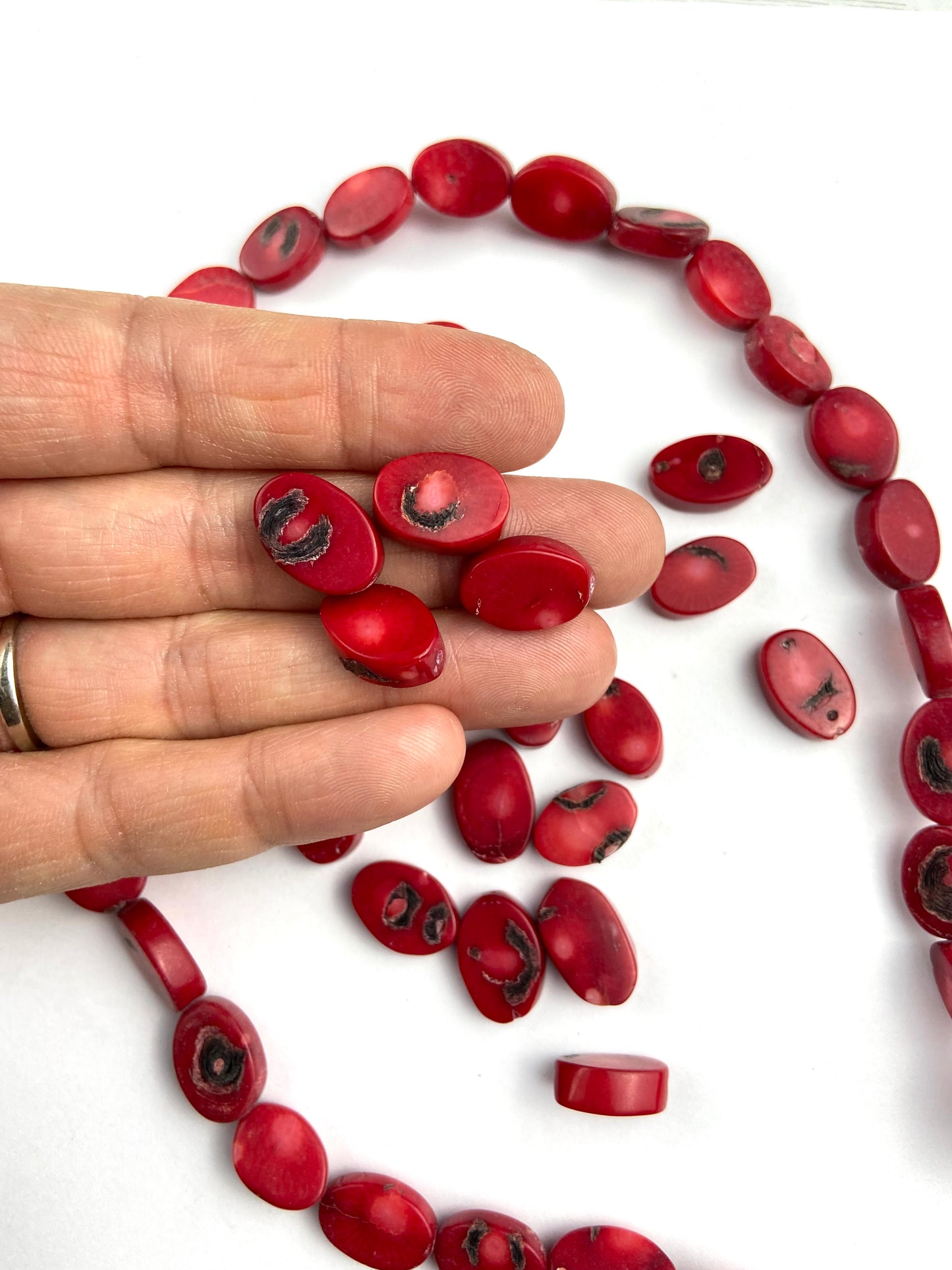 Red Coral Oval Beads