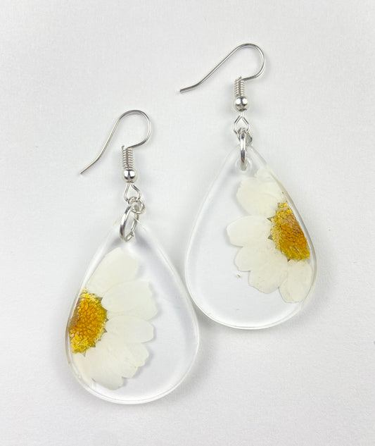 White Flower Real Daisy Earrings